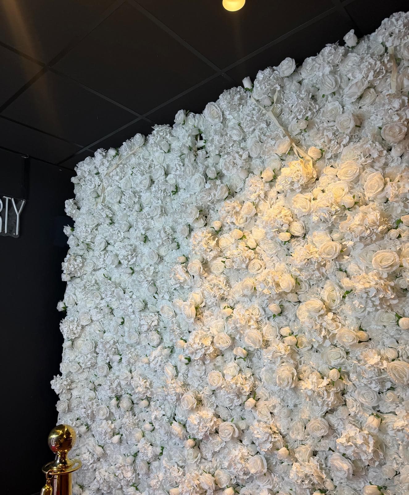 Backdrop